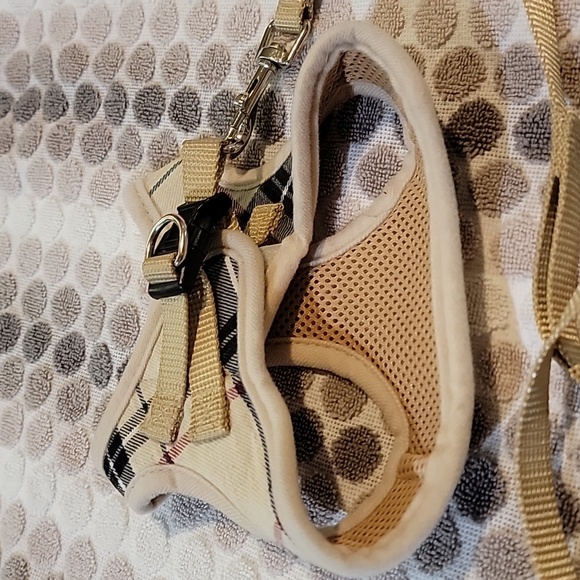 Cat leash - Picture 6 of 8